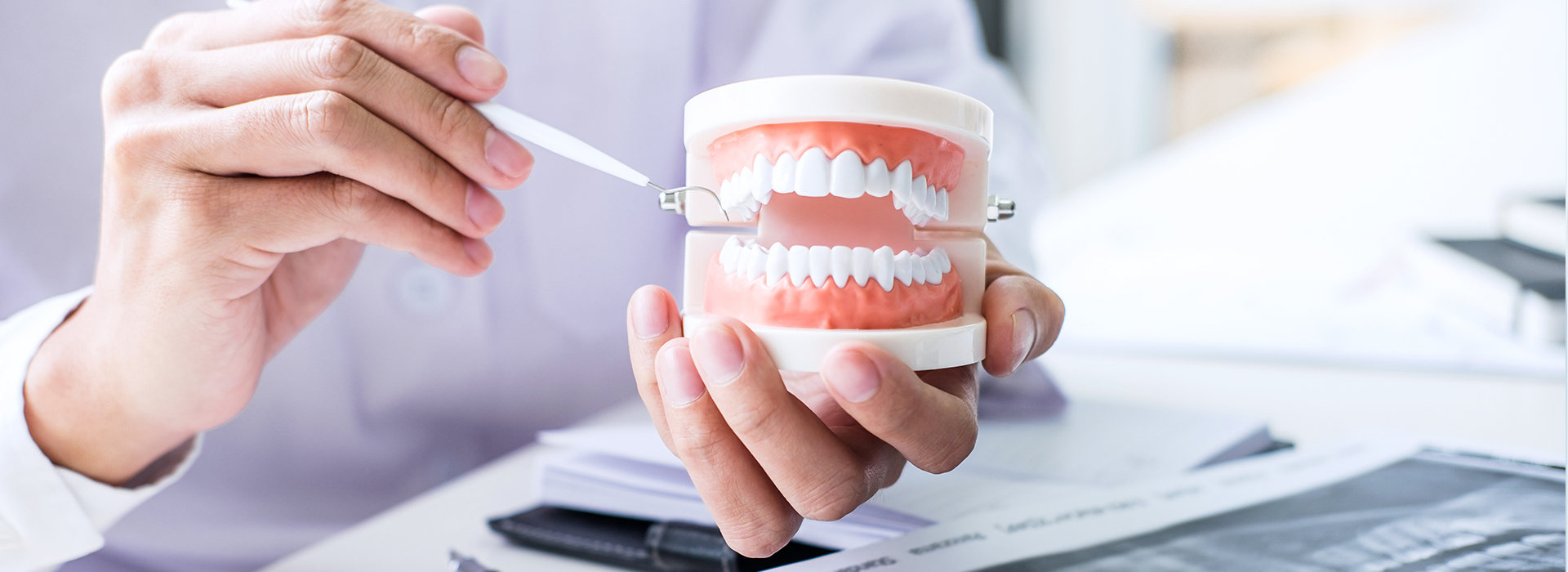 The image shows a person holding a tooth model with a focus on the mouth area, possibly in an educational or dental context.